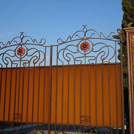 Gelsomino Capannori